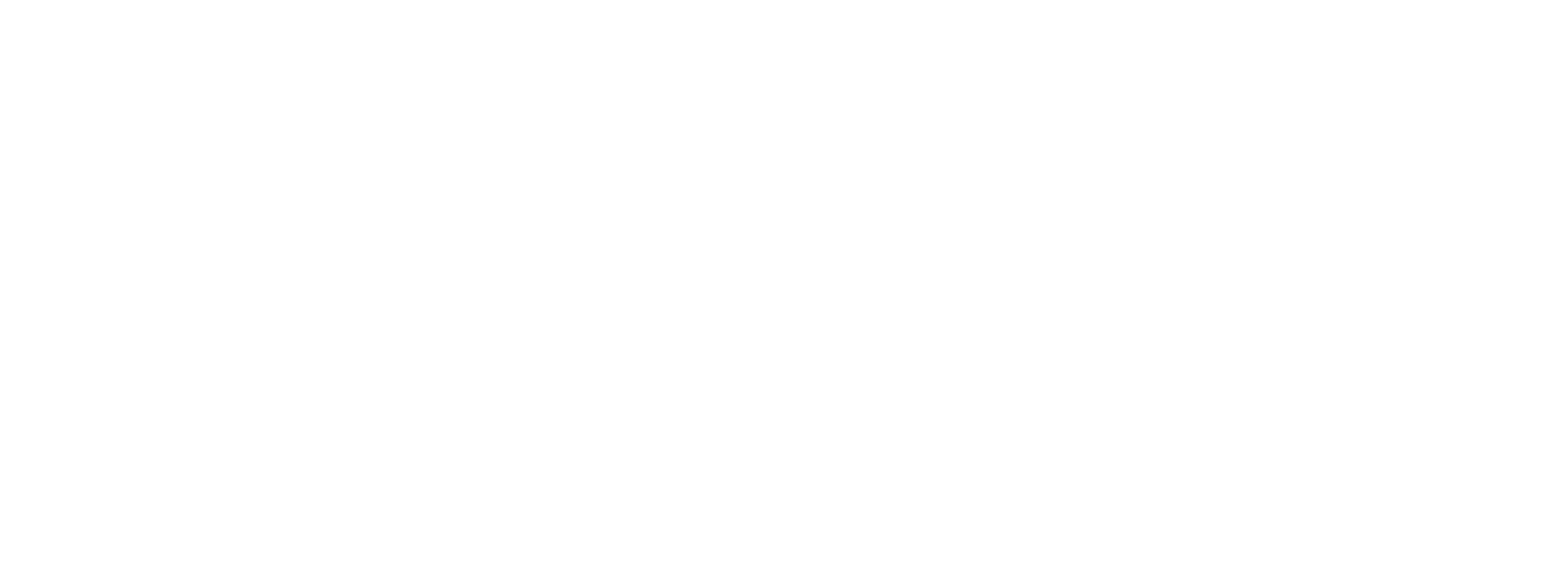 LOGO P3I